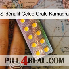 Sildénafil Gelée Orale Kamagra new11